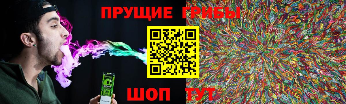 Галлюциногенные грибы мицелий  Галлюциногенные грибы Psilocybe  Вход с VPN  Мценск 