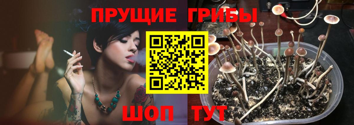Галлюциногенные грибы мицелий Мценск
